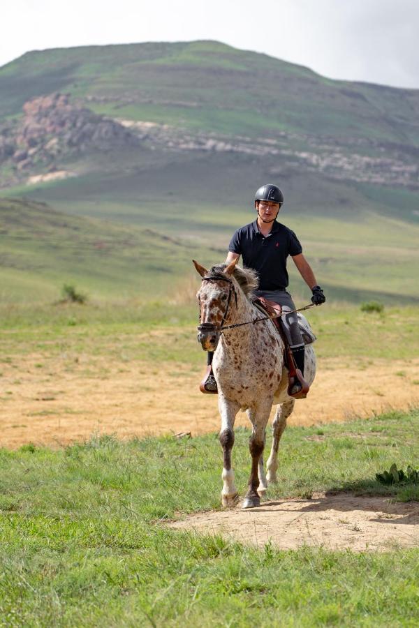 Wild Horses Lodge Harrismith Zewnętrze zdjęcie